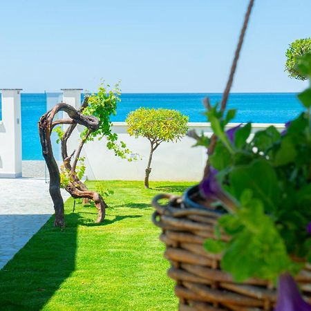 Mbaccimari B&B Cetraro Dış mekan fotoğraf