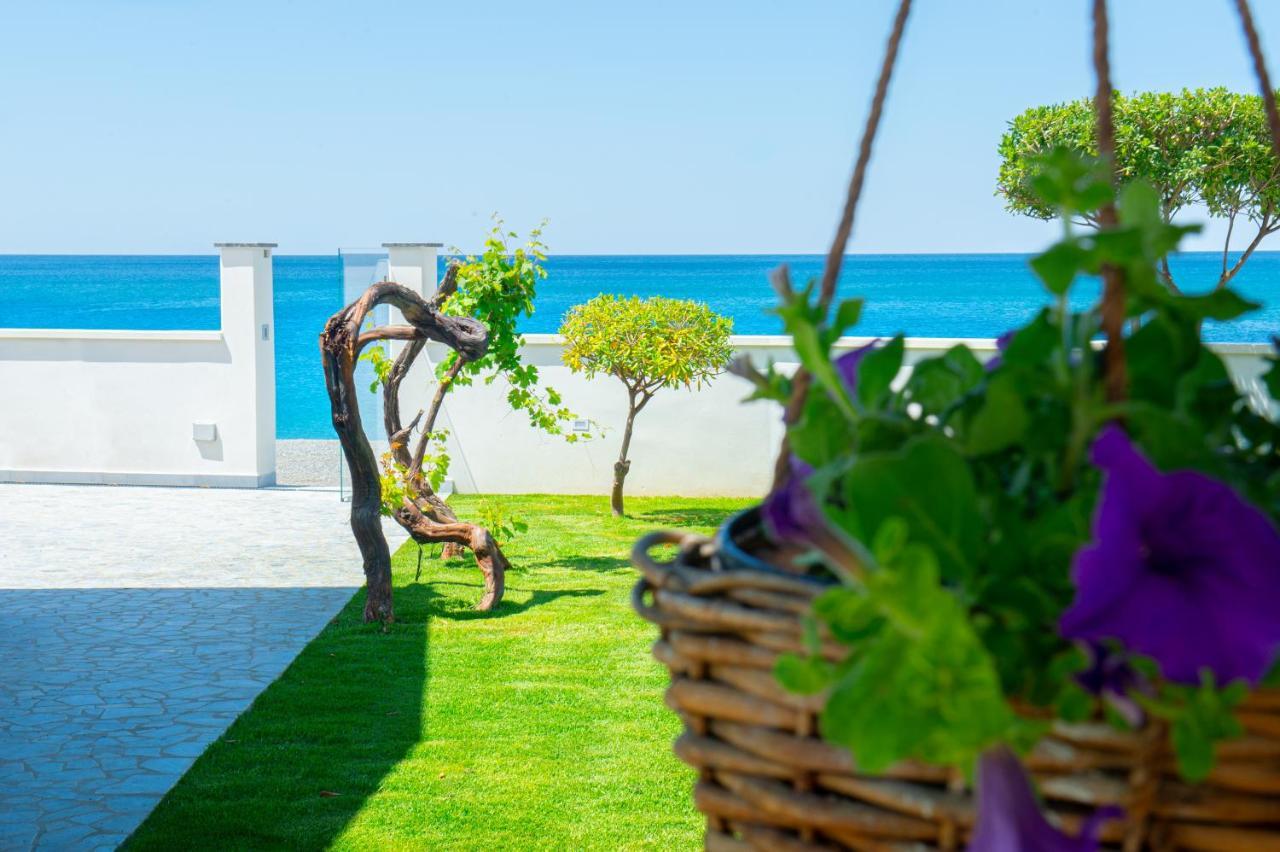 Mbaccimari B&B Cetraro Dış mekan fotoğraf