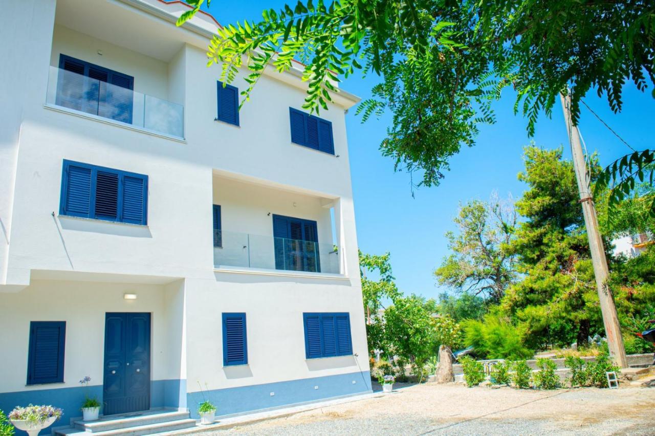 Mbaccimari B&B Cetraro Dış mekan fotoğraf